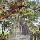 황산도 옛길 테마거리 | 괴산 산막이옛길 / 충북 괴산 가볼만한 걷기 좋은 산책코스 추천