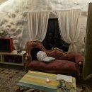 보헤미안펜션 | 제주 감성 듬뿍 담긴 독채 펜션 제주 서귀포 <보헤미안>