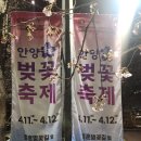 충훈2교 | 충훈벚꽃축제 전에 다녀왔는데 아직 덜 핀 벚꽃 현실 후기