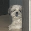 디자인모든 이미지