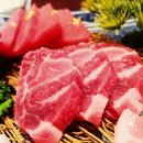 솔참치