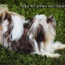 골목맥주 이미지
