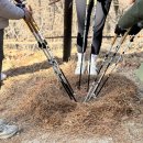 [노르딕워킹] 한국노르딕워킹협회 '90일의 기적!' 챌린지 제 2회차 정기모임 이미지