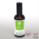 편백나무아래 이미지