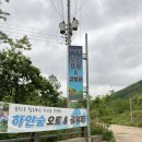 포천캠핑장 추천 하얀숲 오토&amp;글램핑 피크닉4 타프존 우중 솔캠
