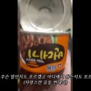 구운 바퀴벌레를 식사로 줬다는 우크라이나 병사 이미지