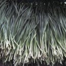 신월농장 이미지