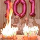 낭낭이네 이미지