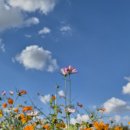 분동경로당 이미지