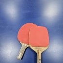 코리아 탁구교실 이미지