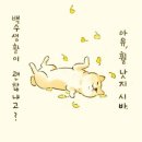 백수 이미지