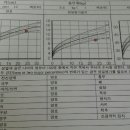 고마또래