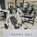 뉴텍 벤트오버 로우 / 시티드로우 판매합니다 이미지