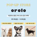 추천 ! 롤로 위빙 목줄&amp;리드줄 세트_실버, 하트참...프리미엄 가죽 | 하울팟 한남점 오롤로 팝업 후기