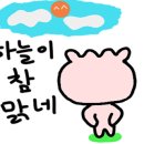 남대문언니 이미지