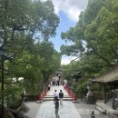 301-1-000006 이미지