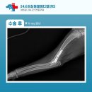성심동물의료센터 이미지