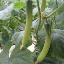 종희농장 이미지