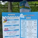 밀양슈퍼 | 무더위를 잊게 해준 2025 밀양 수퍼 페스티벌 후기