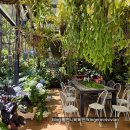 화원관광지 | Plateau Ecotourism Area(카오응우옌하오)달랏 화원 생태 관광지에서 내돈내산 자이언트 스윙 즐기기