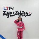 태인태권도 이미지