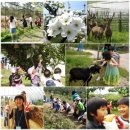 배가농원 이미지