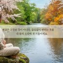 갑자한의원 | 사상체질이 왜 다르게 느껴질까? 내 몸의 반복된 흐름 읽는 법