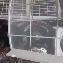 상쾌한크린 네이버블로그