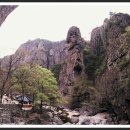 송**경(주)