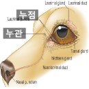 유동물병원 이미지