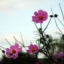 팔달 빗물펌프장 이미지