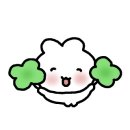 이안안경콘택트 - 북구 동문대로 199-1 | 이안안경콘택트