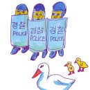 돈오리 이미지