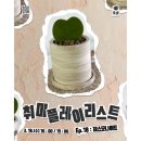 11620-14-45-18 | 여주 원데이클래스 - 제스모나이트 [청센 취플리 프로그램] 후기