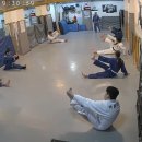 마포유도체육관 이미지