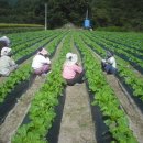 리산농장 이미지