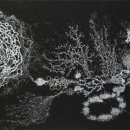 기억을 걷다 3 이미지