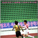 (학교)동명초 이미지