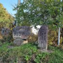 신암 은행나무길 이미지