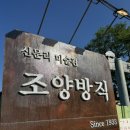 조양유치원 | [강화도 카페] 부모님과 아이들과 가기 좋은 신문리 미술관 조양방직 대형카페