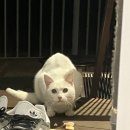 우리들애 이미지