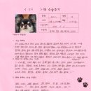 절골 | [#1388] 꼬미 (양측 슬개골탈구 G4, G3 / 양측 원위대퇴골 절골)의 수술후기