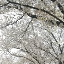 첨단체육공원(운동장) 이미지