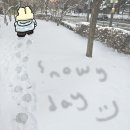 뽀독뽀독 이미지