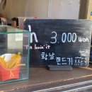 홍가스시 이미지