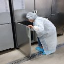 사천김밥 이미지