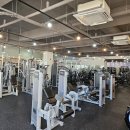 성연2로 네이버블로그