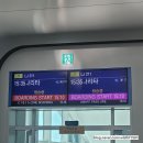 안경랜드21풍향점 | 여름 도쿄 여행 1일차, 디즈니씨 다녀온 후기