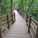 이촌근린공원 이미지