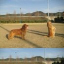 위드농장 이미지